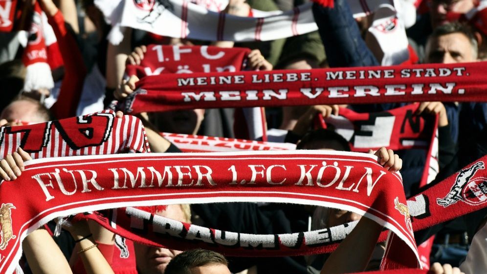 Die Fans des 1. FC Köln reisen wohl nach Ungarn - Bildquelle: AFP/SID/UWE KRAFT