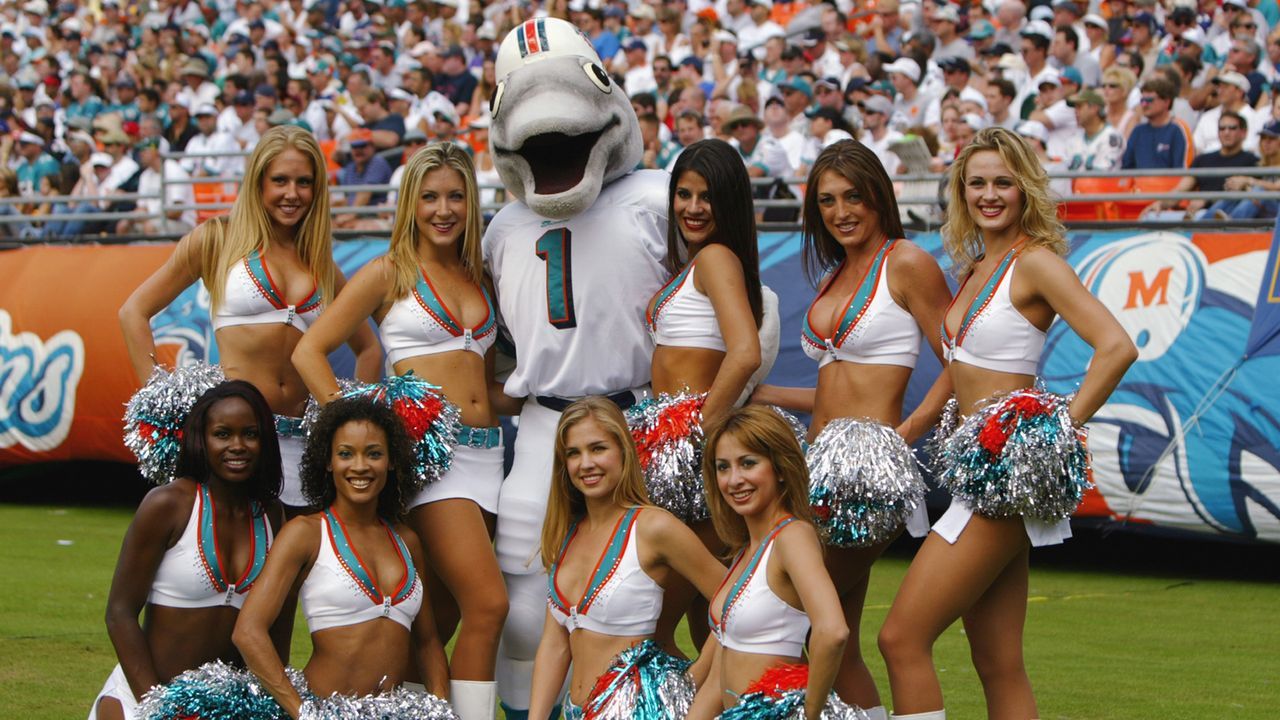 Miami Dolphins: T.D. - Bildquelle: 2003 Getty Images