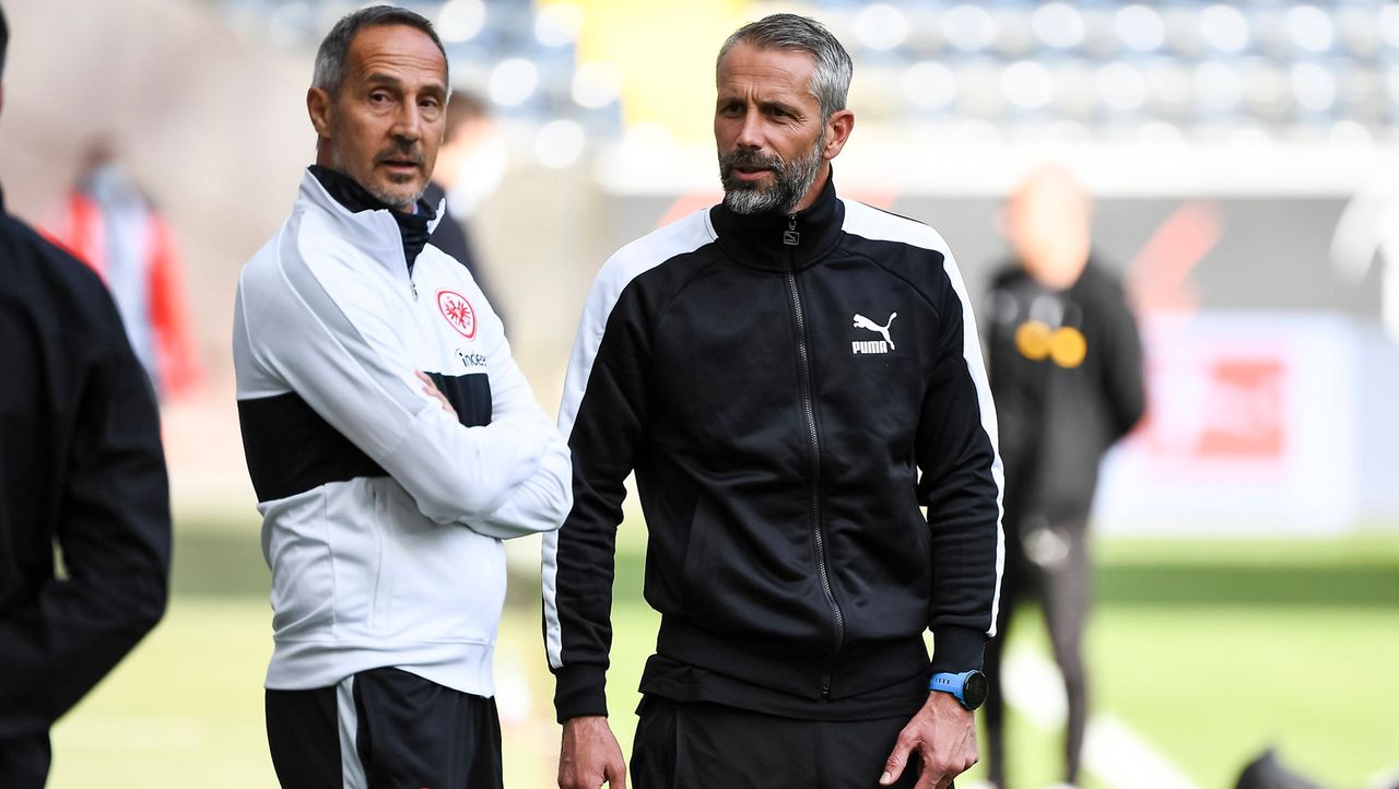 Teuerste Bundesliga Trainer Hutter Knackt Rekord