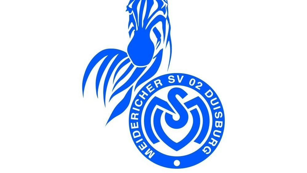 MSV Duisburg Pin Logo Original Maße 16x21mm