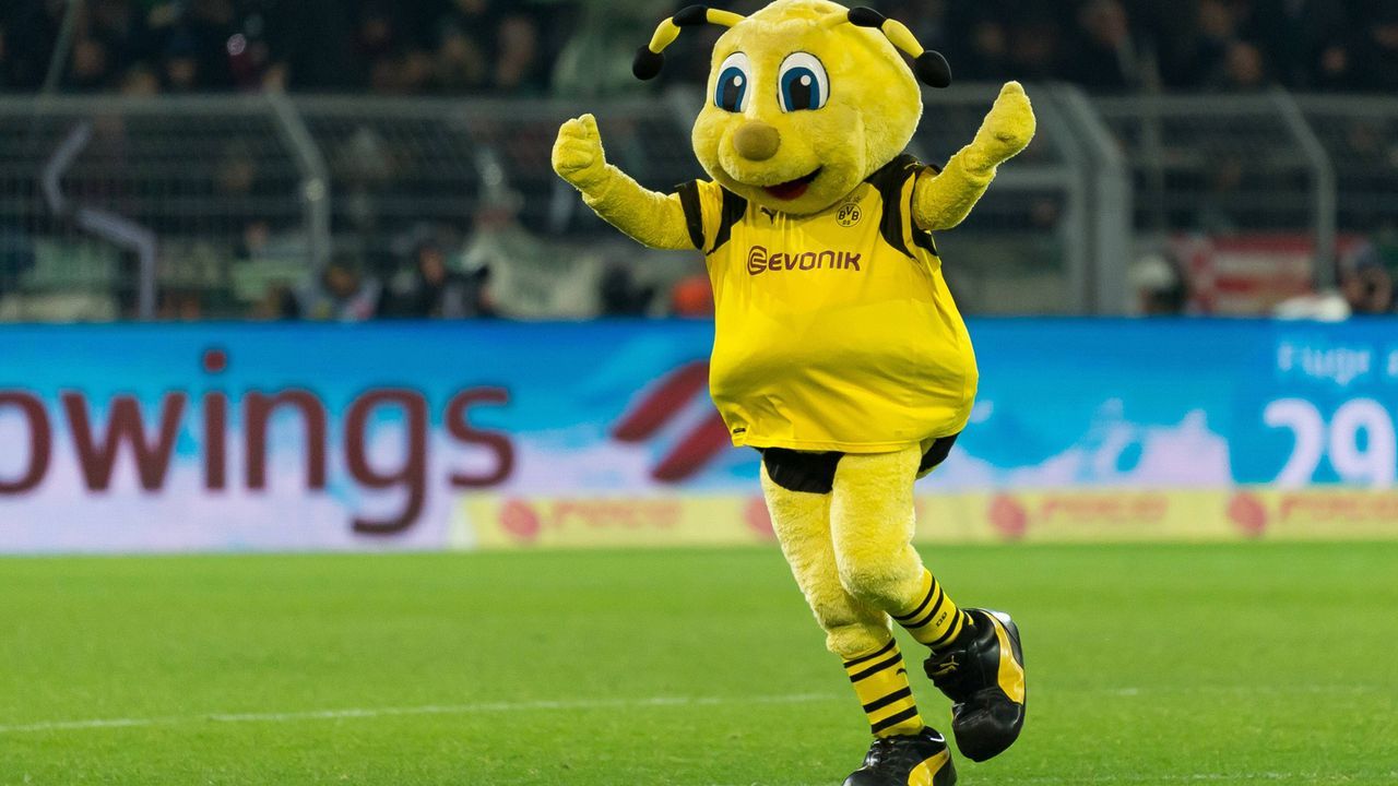 Platz 14: Borussia Dortmund - Emma - Bildquelle: imago/DeFodi