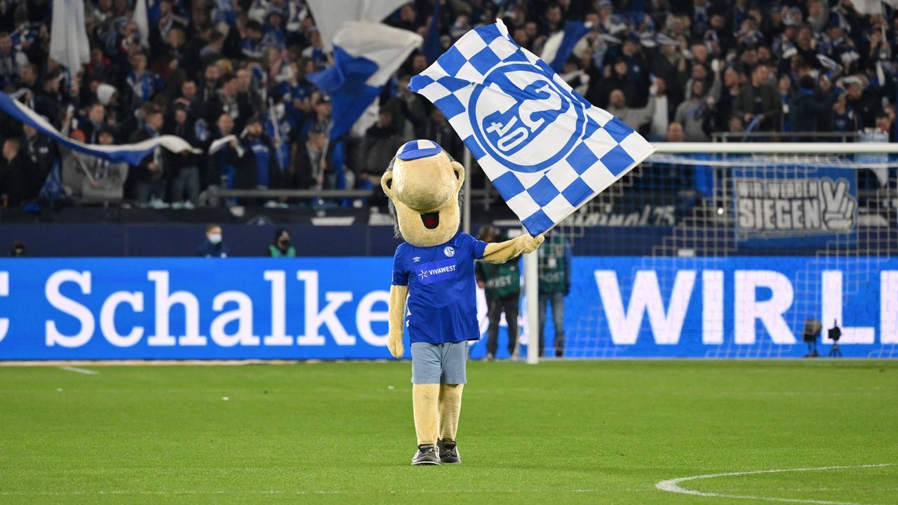 Platz 7: FC Schalke 04 - Erwin - Bildquelle: IMAGO/Team 2