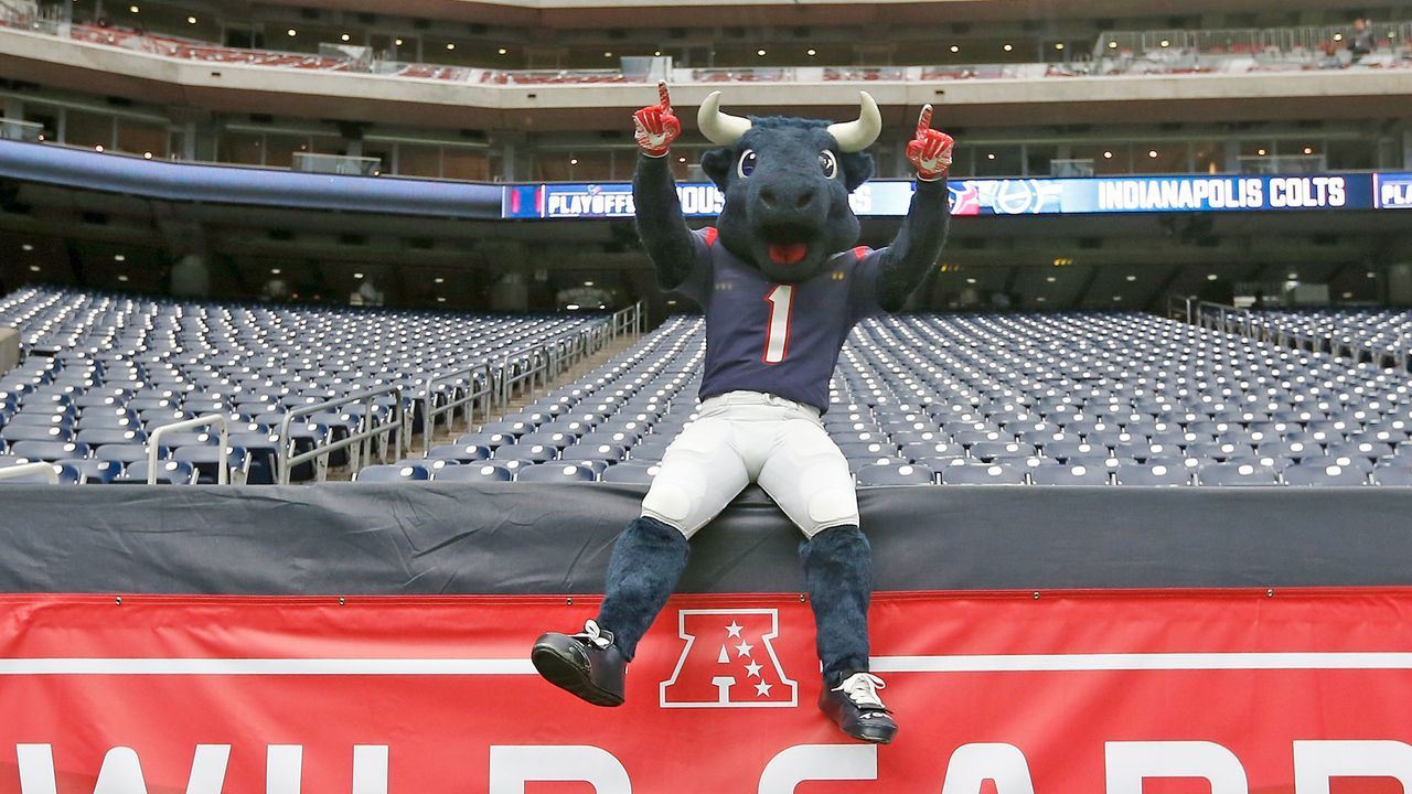 Houston Texans: Toro - Bildquelle: 2019 Getty Images