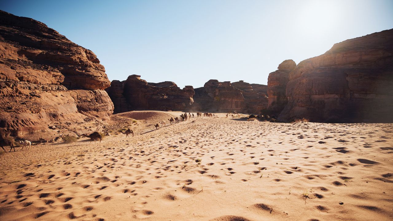 Desert X-Prix - Bildquelle: Extreme E