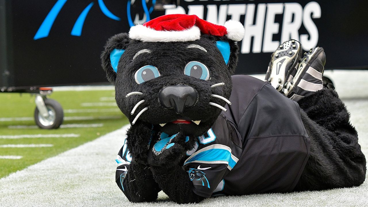 Carolina Panthers: Sir Purr - Bildquelle: 2016 Getty Images