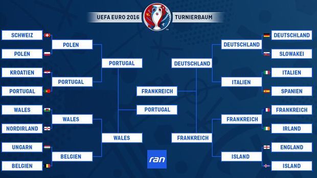 Em Baum Frankreich Im Heim Finale Gegen Portugal