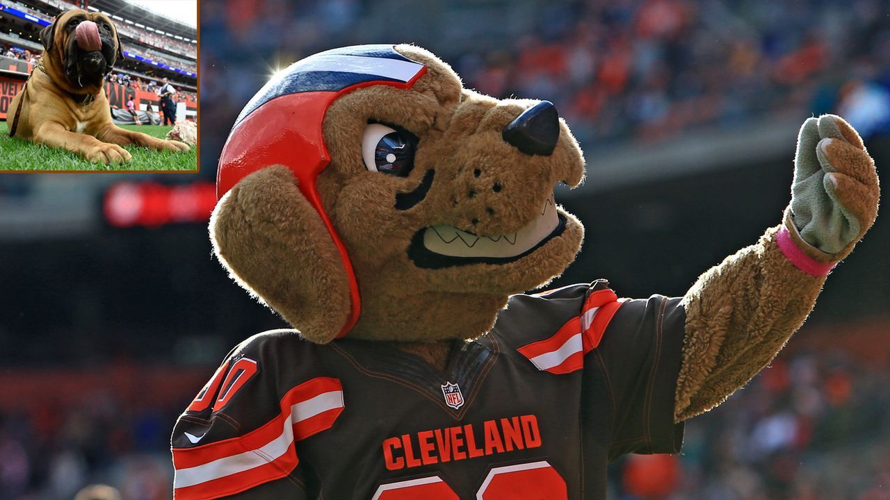Cleveland Browns: Chomps und Swagger - Bildquelle: 2015 Getty Images