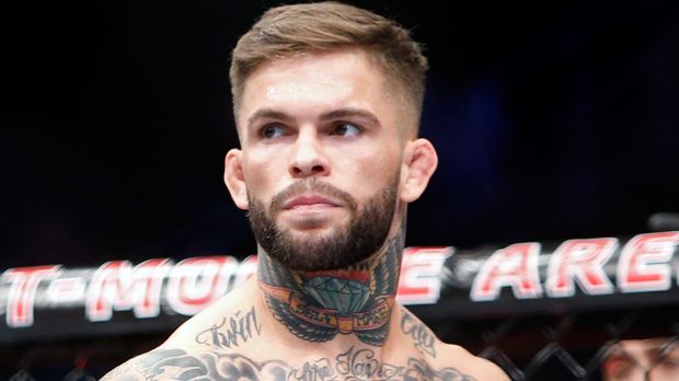 "TUF 25": Garbrandt geht Dillashaw an die Gurgel