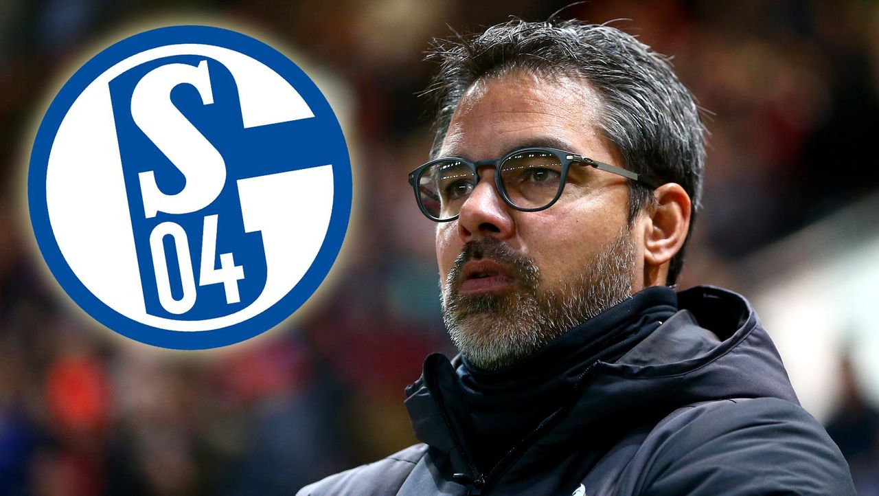 David Wagner So Tickt Der Neue Schalke Trainer