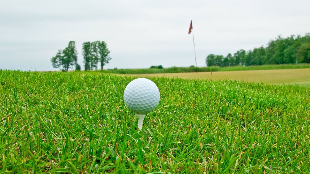 Über 700 Bälle landeten im Garten - Familie gewinnt Klage gegen Golfklub - Bildquelle: imago