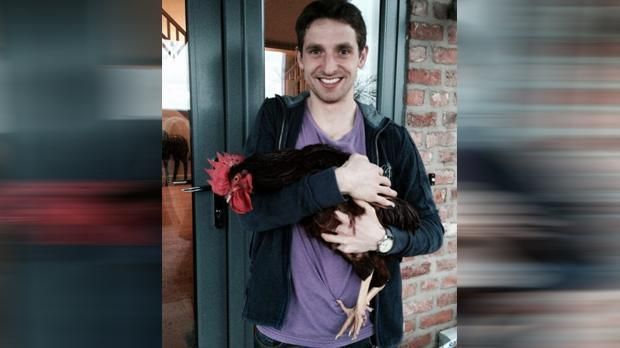 Joe Allen und seine Hühner - Bildquelle: Twitter/laceyjoallen