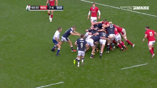 Rugby - Video - Wahnsinns-Kraftpaket! Schottland-Power zum ...