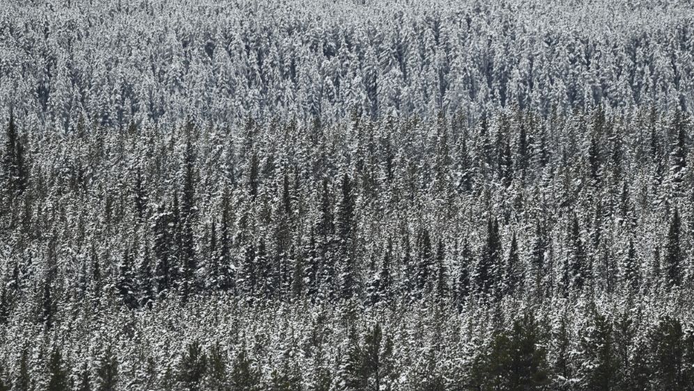Auch der Super-G wurde wegen Schneefalls abgesagt - Bildquelle: AFP/SID/PATRICK T. FALLON